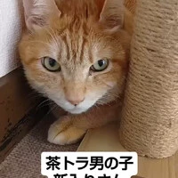 画像761