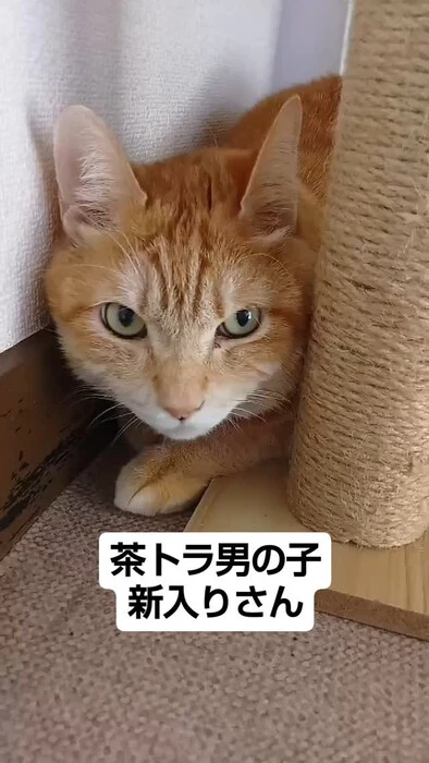 画像761