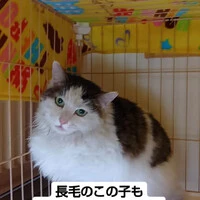画像763
