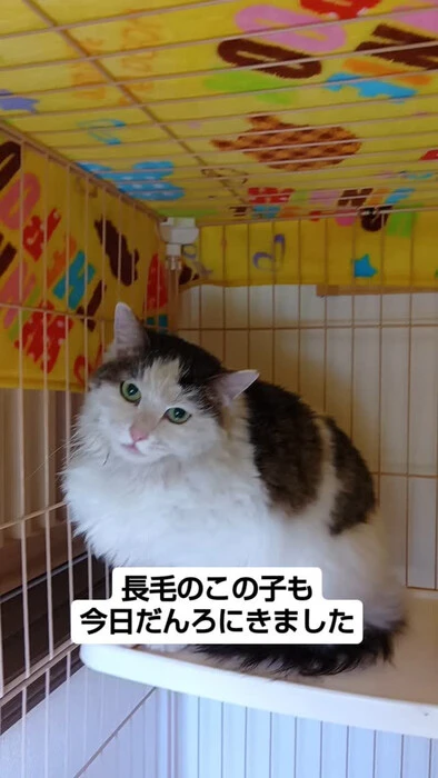 画像763
