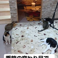 画像765