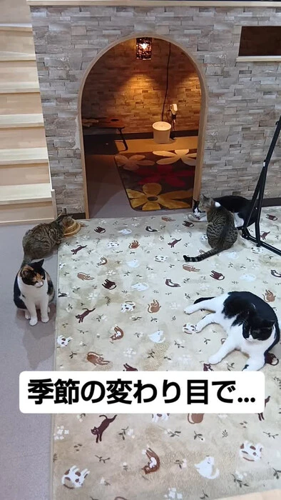 画像765