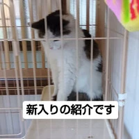 画像767
