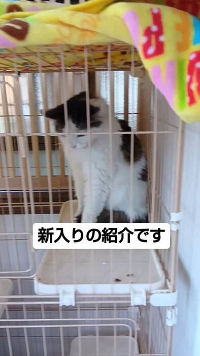 画像767