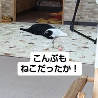 画像769