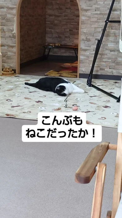 画像769