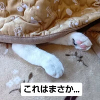 画像771