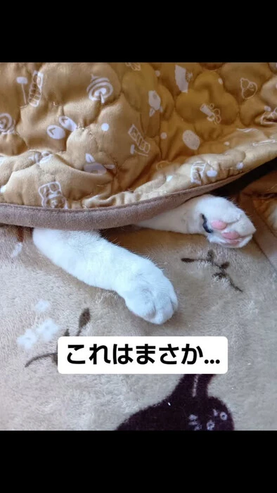 画像771