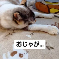 画像773
