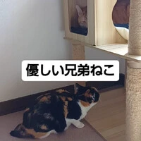 画像777