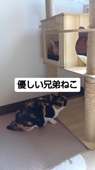 画像777