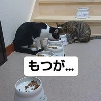 画像781
