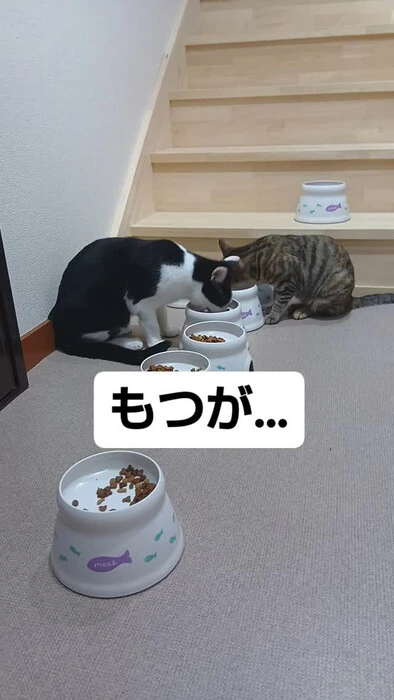 画像781