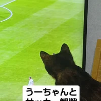 画像783