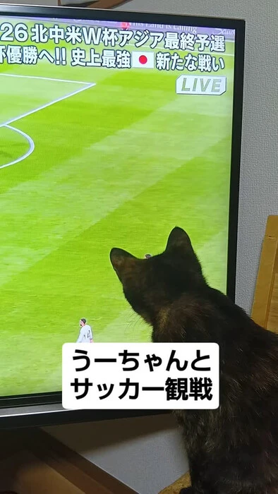 画像783