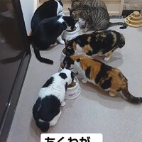 画像785
