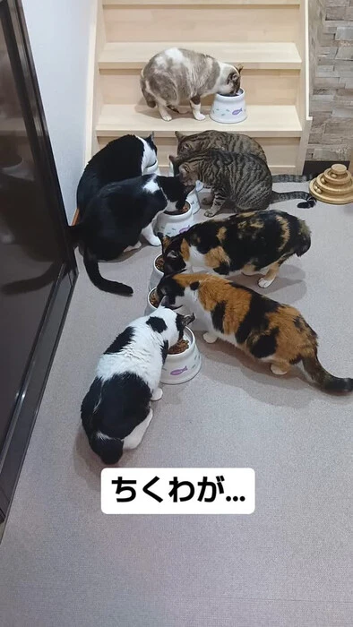 画像785