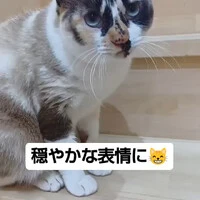 画像787
