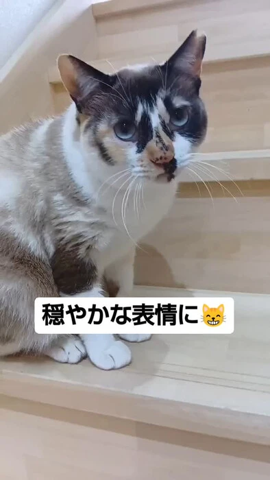 画像787