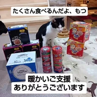 画像789