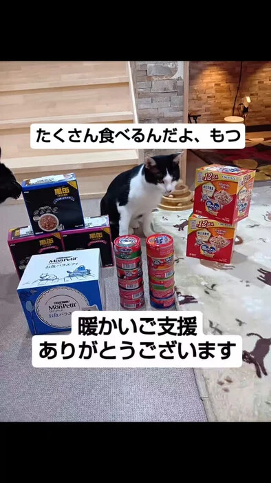 画像789
