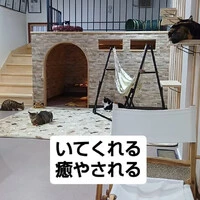 画像791