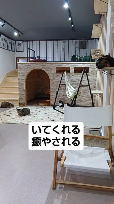 画像791