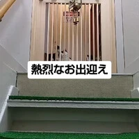 画像793