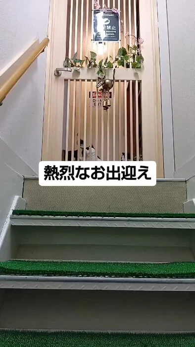 画像793