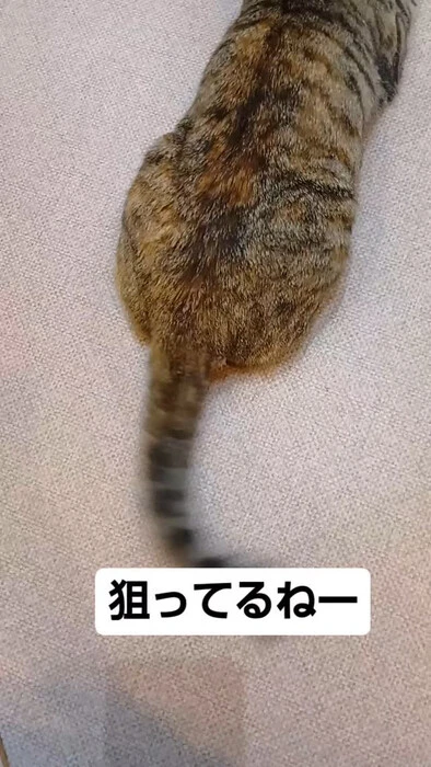 画像795