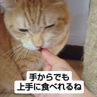 画像797