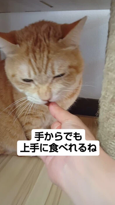 画像797