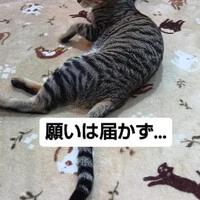 画像799