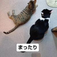 画像801
