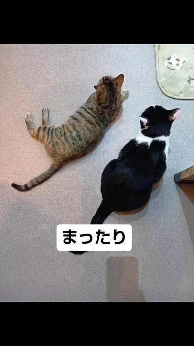 画像801