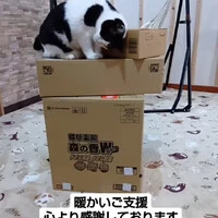 画像803