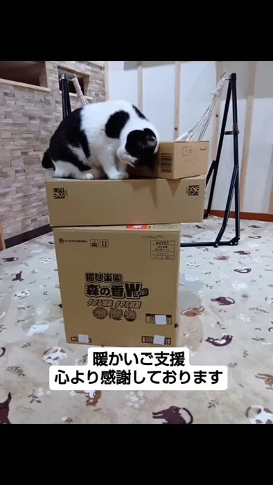 画像803