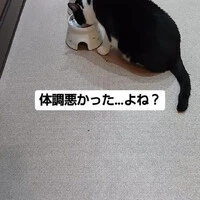 画像805