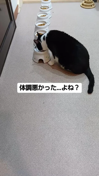 画像805