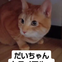 画像807