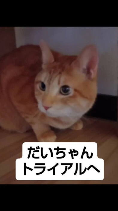 画像807