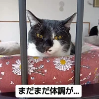 画像813