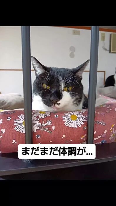 画像813