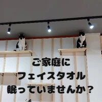 画像815