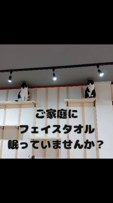 画像815