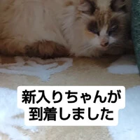 画像821