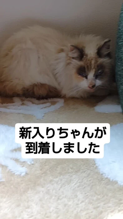 画像821