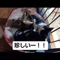 画像823