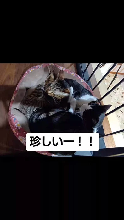 画像823