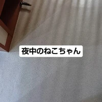画像825